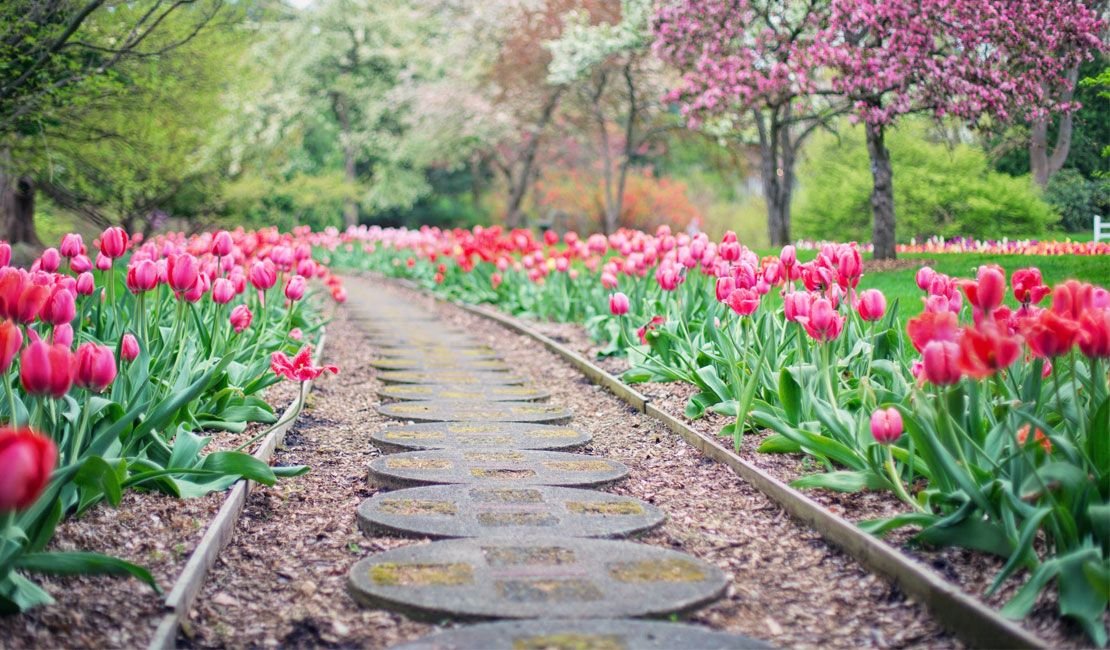 Rose Garden Path M&M Landscape Management