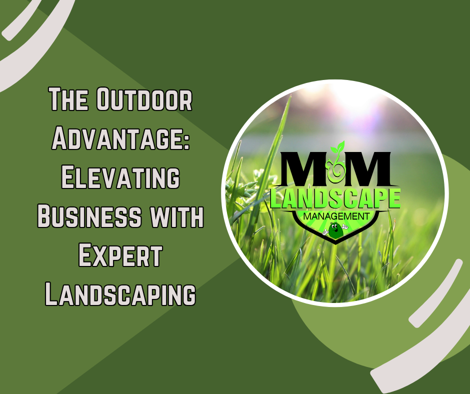M&M Landscape Management | Expert Commercial Landscaping